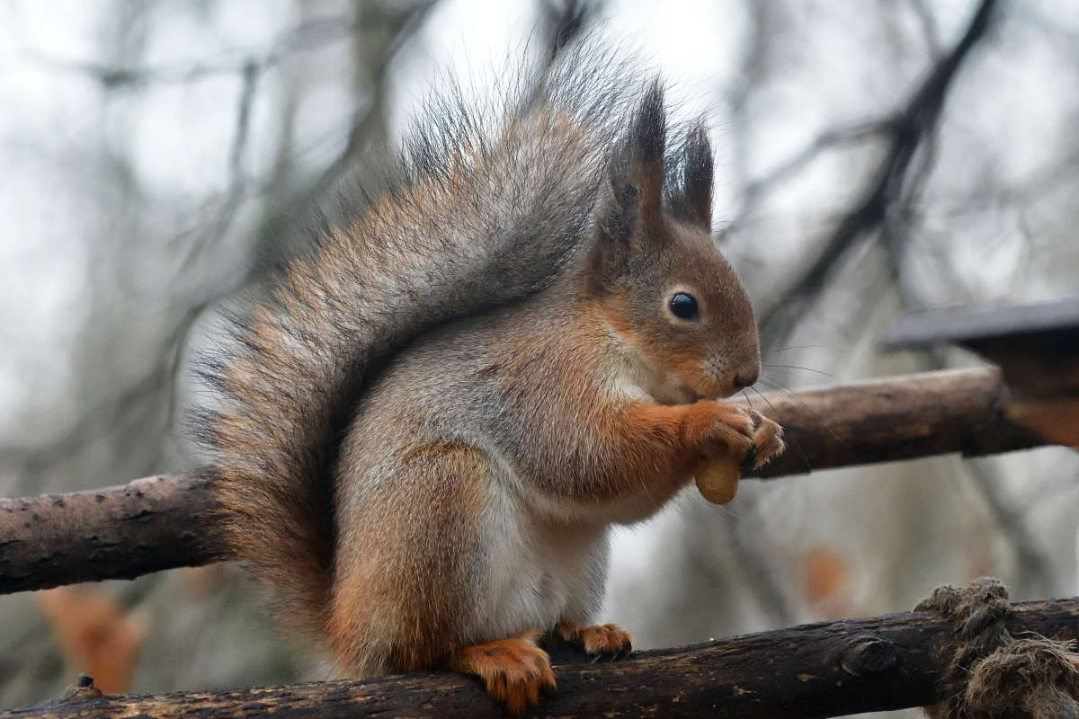 ... ����� �����  �� PhotoGeek.ru #�������� ���