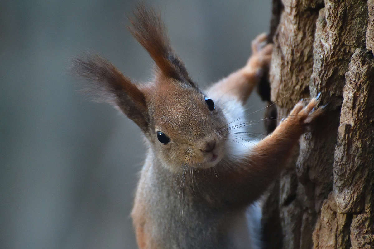 ... ����� �����  �� PhotoGeek.ru #�������� ���