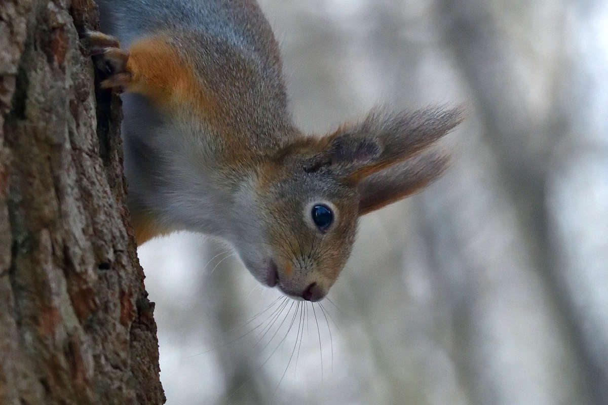 ... ����� �����  �� PhotoGeek.ru #�������� ���