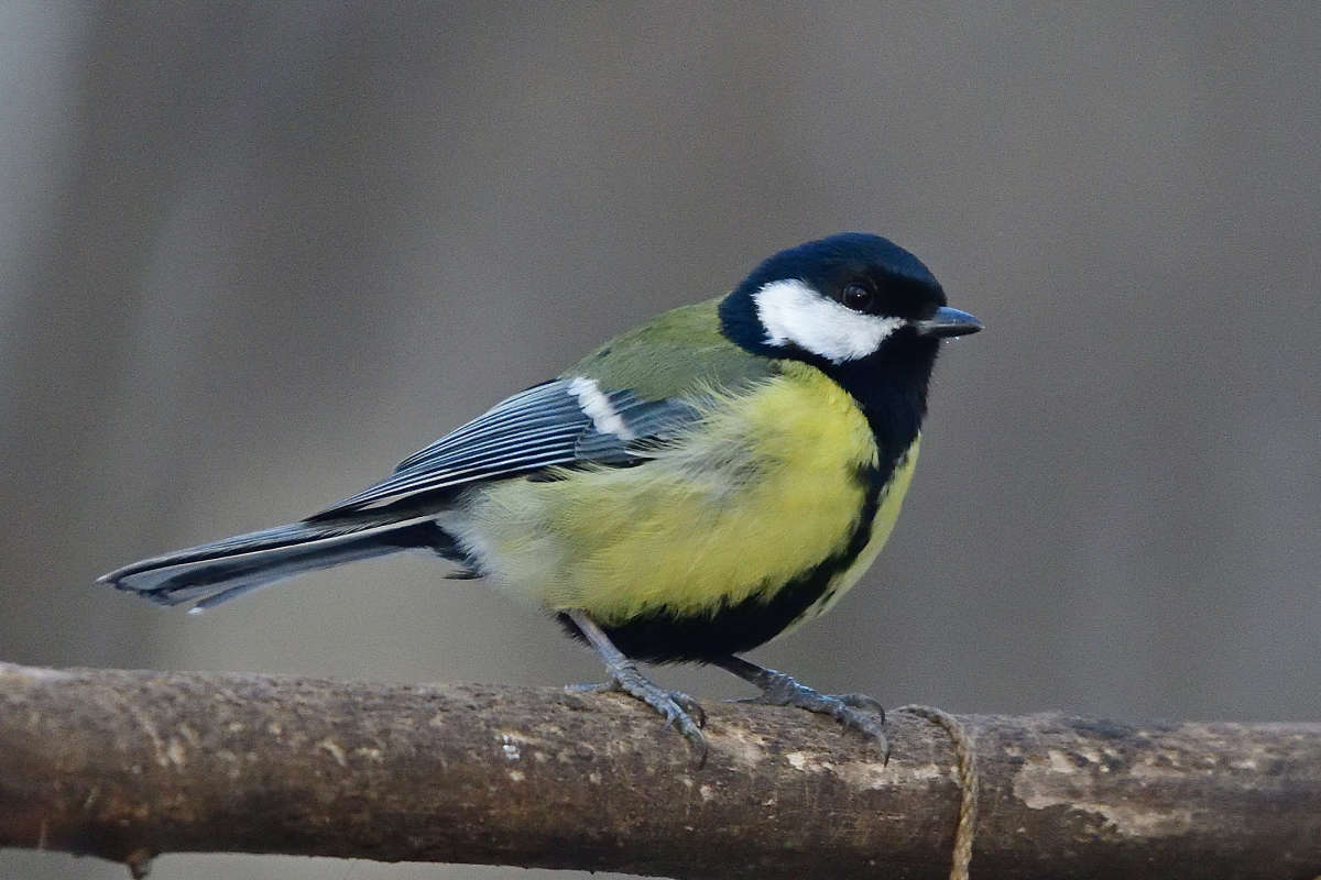 ... ����� �����  �� PhotoGeek.ru #�������� ���