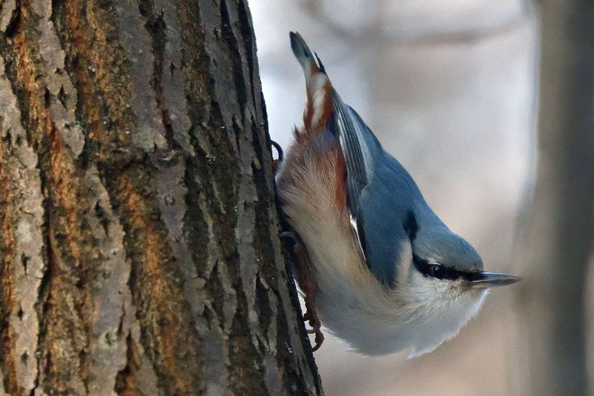 ... ����� �����  �� PhotoGeek.ru #�������� ���
