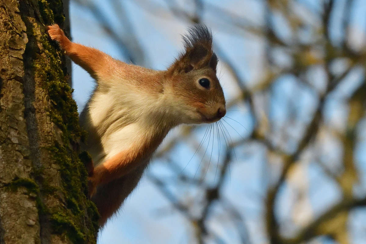 ... ����� �����  �� PhotoGeek.ru #�������� ���