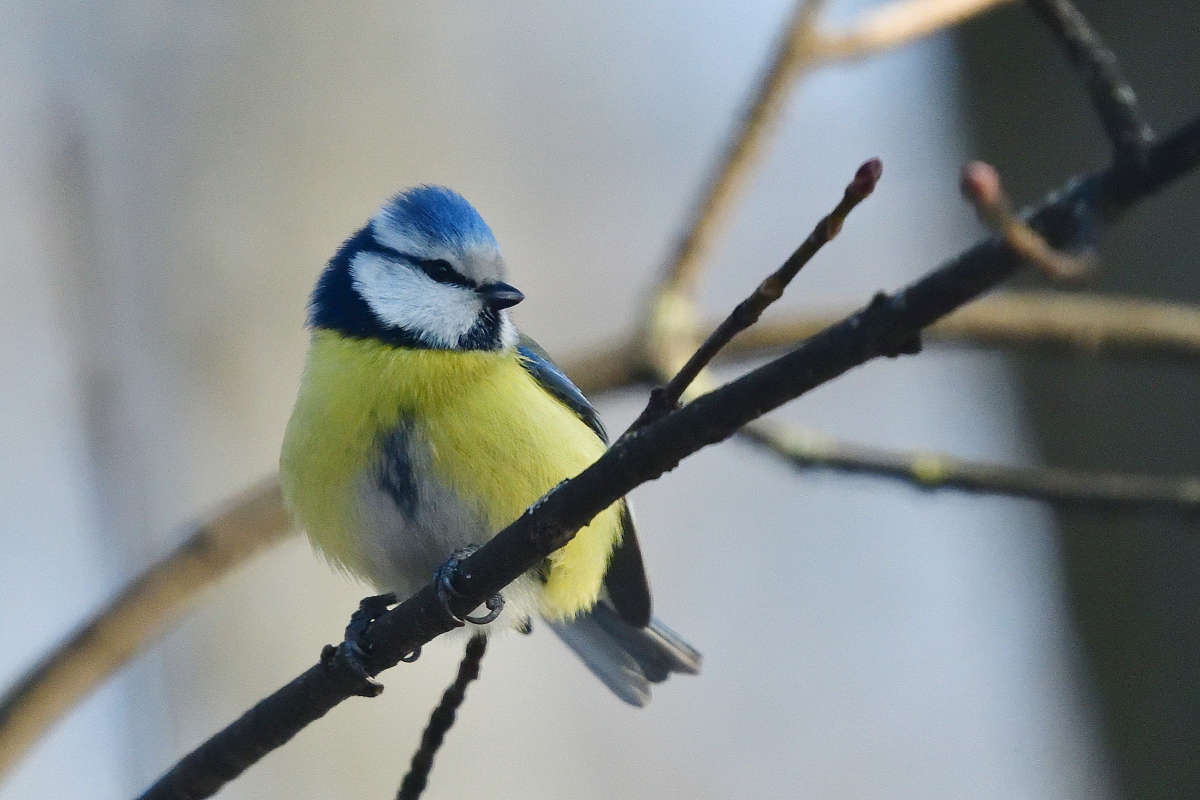 ... ����� �����  �� PhotoGeek.ru #�������� ���