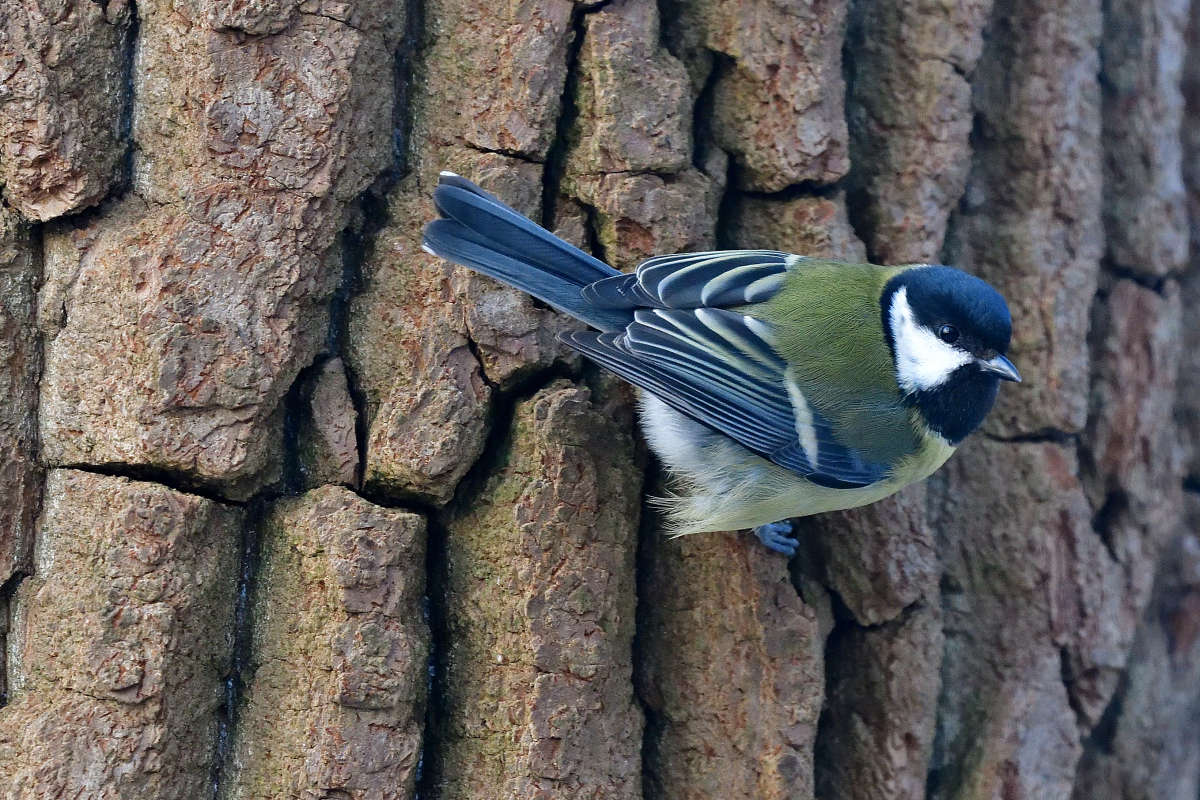 ... ����� �����  �� PhotoGeek.ru #�������� ���