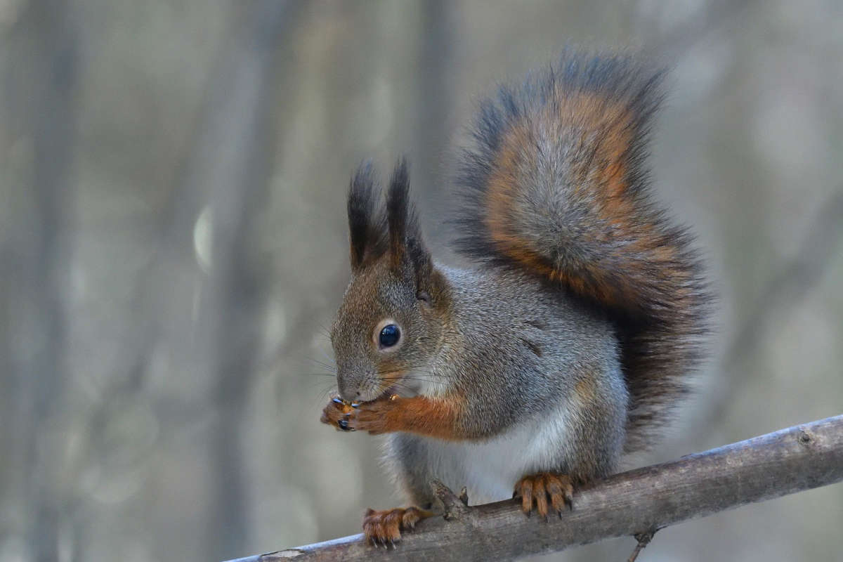 ... ����� �����  �� PhotoGeek.ru #�������� ���