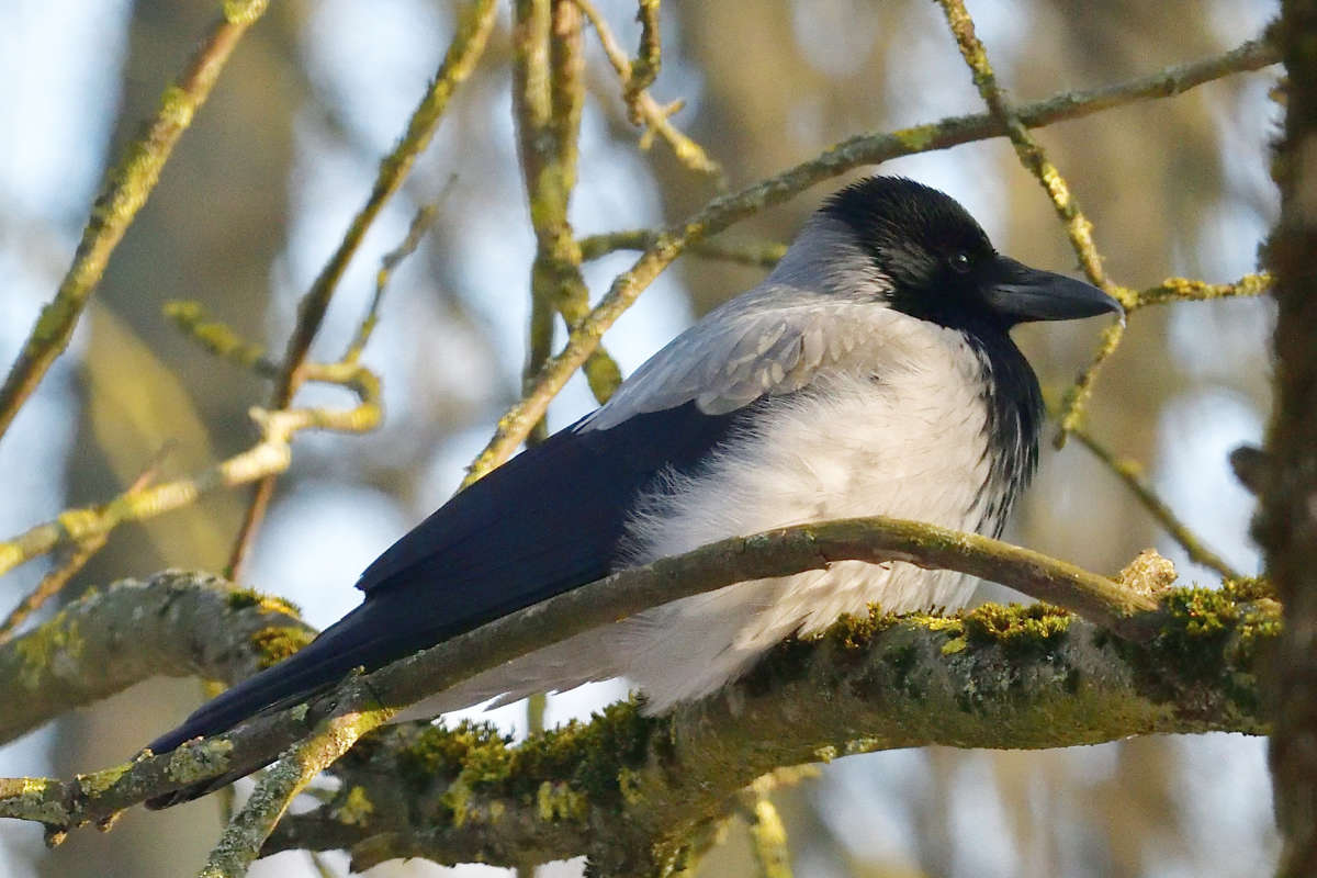 ... ����� �����  �� PhotoGeek.ru #�������� ���