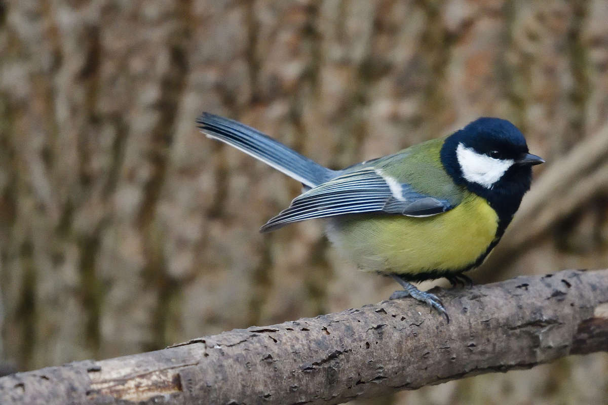 ... ����� �����  �� PhotoGeek.ru #�������� ���