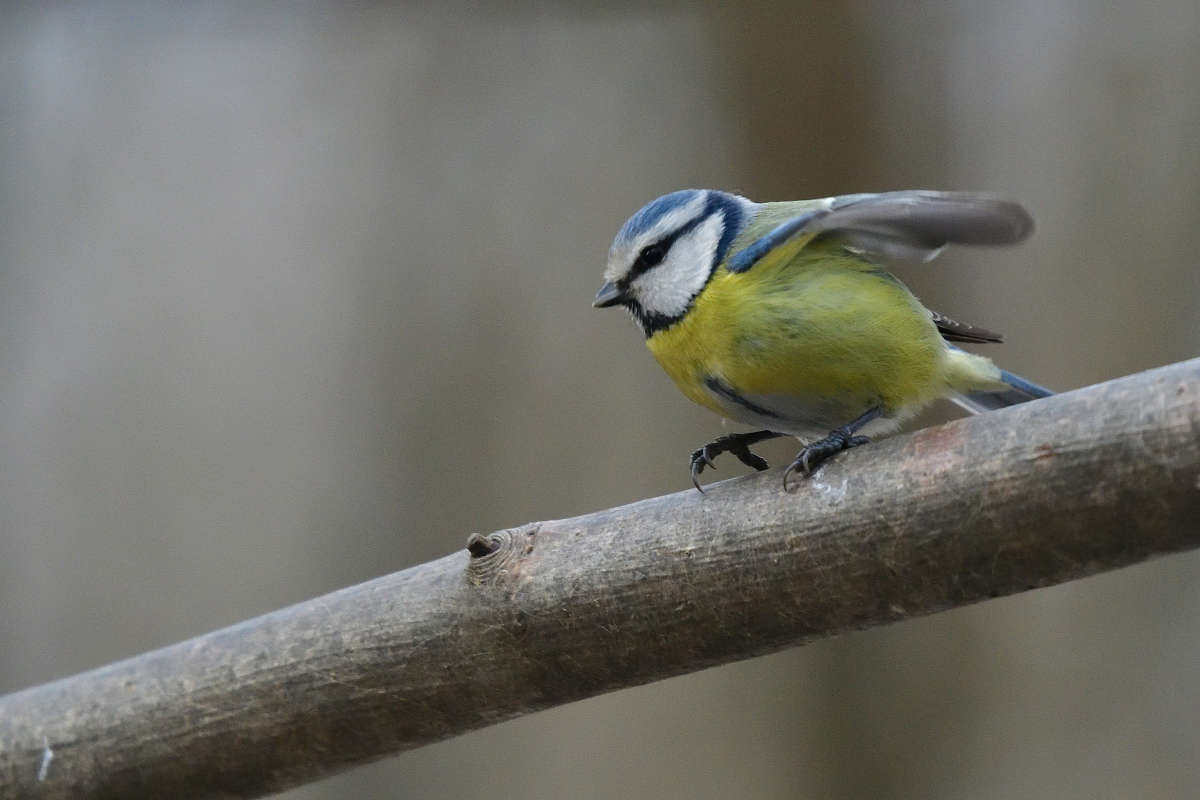 ... ����� �����  �� PhotoGeek.ru #�������� ���