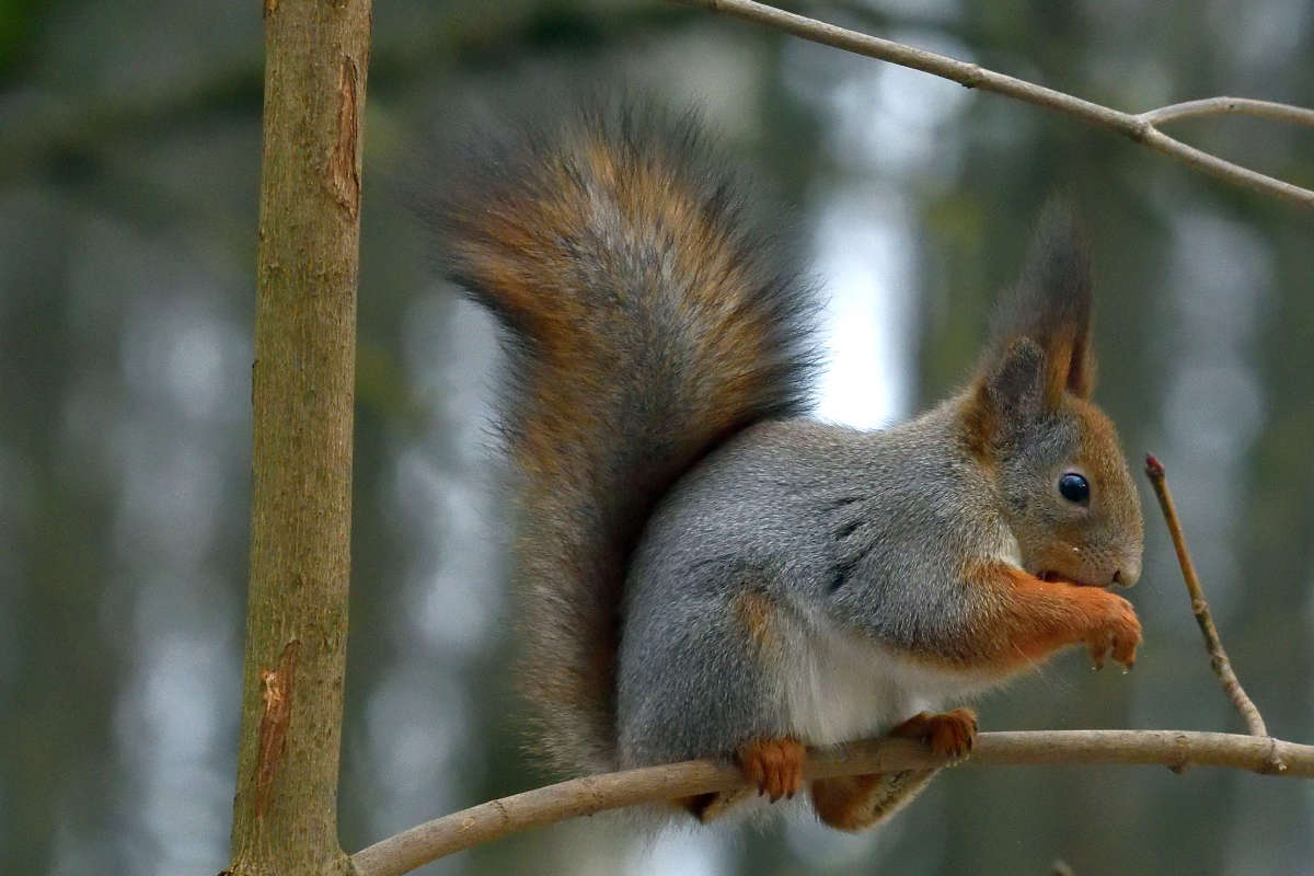 ... ����� �����  �� PhotoGeek.ru #�������� ���