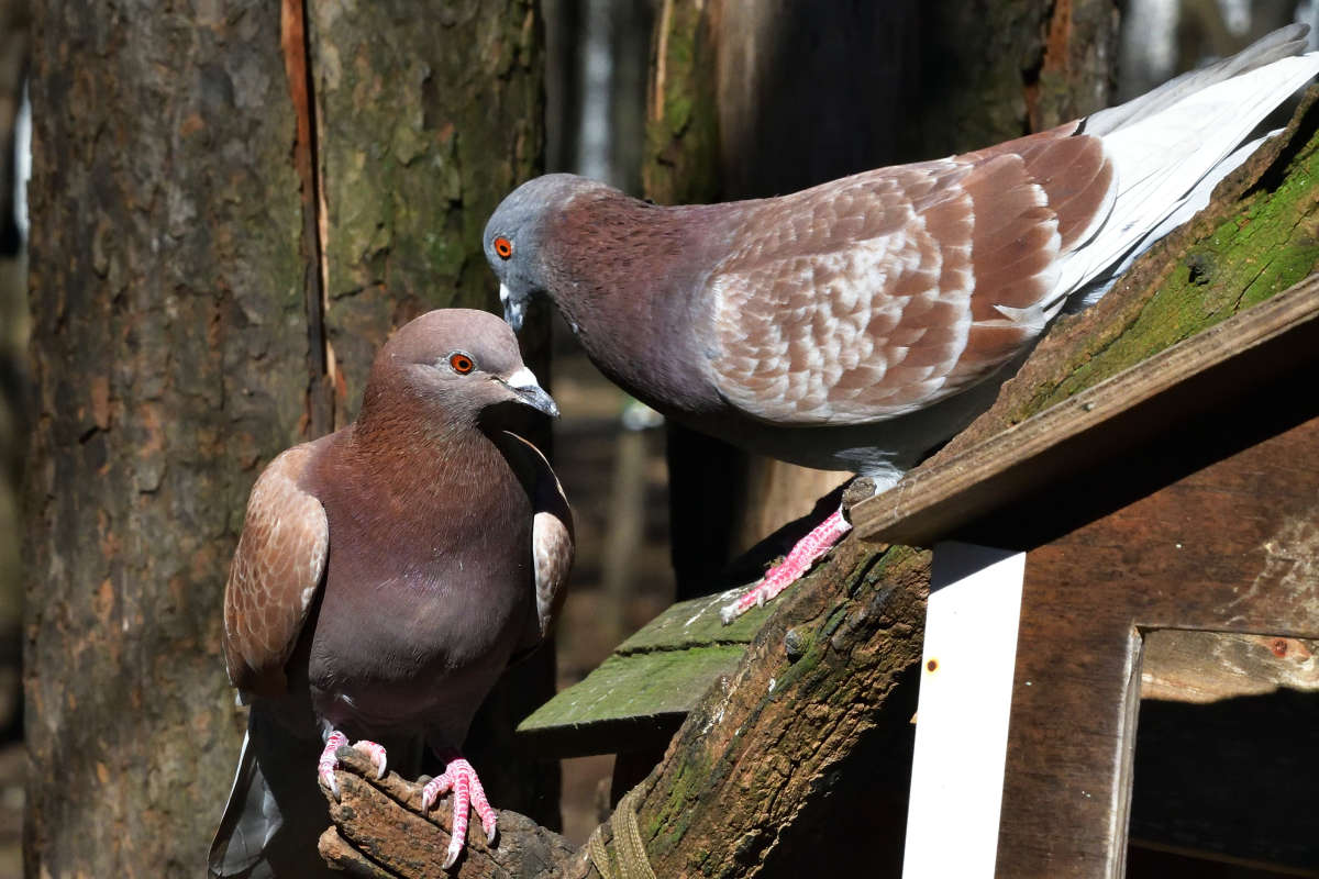 ... ����� �����  �� PhotoGeek.ru #�������� ���