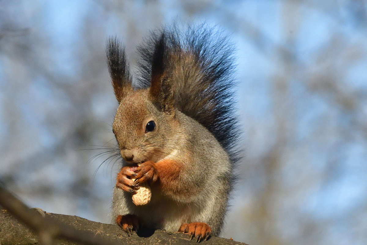 ... ����� �����  �� PhotoGeek.ru #�������� ���