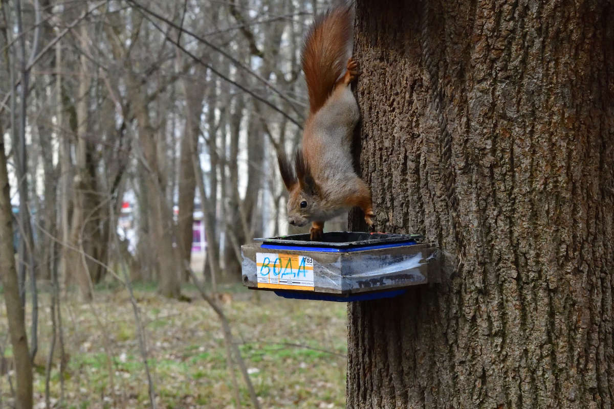 ... ����� �����  �� PhotoGeek.ru #�������� ���