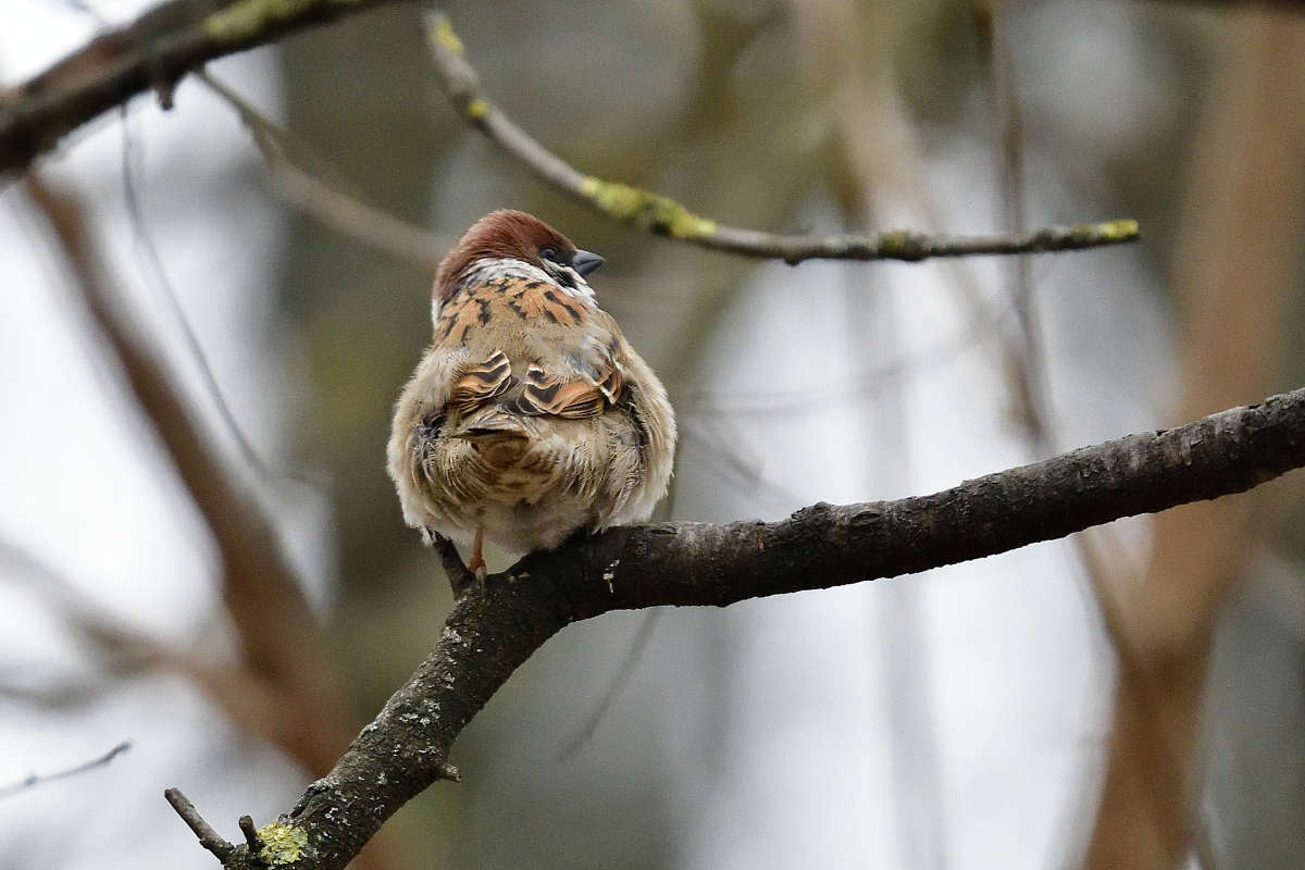 ... ����� �����  �� PhotoGeek.ru #�������� ���