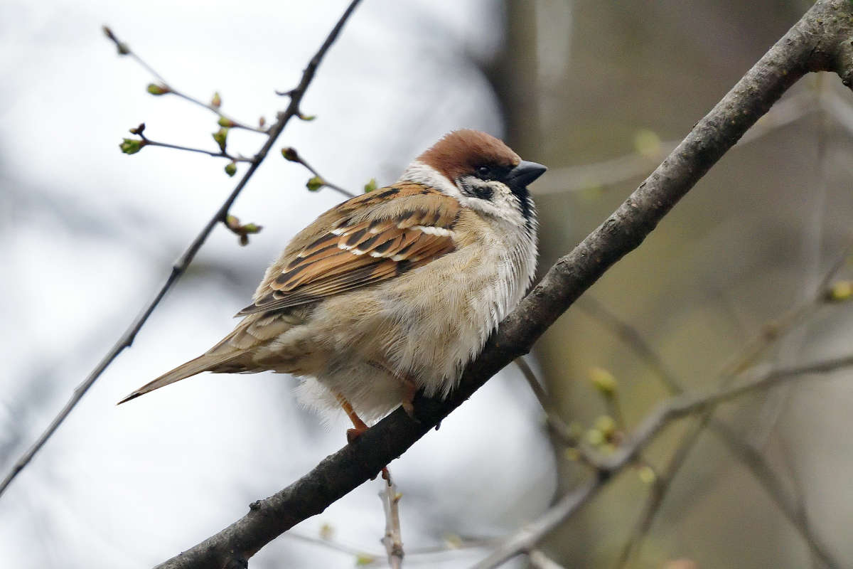 ... ����� �����  �� PhotoGeek.ru #�������� ���