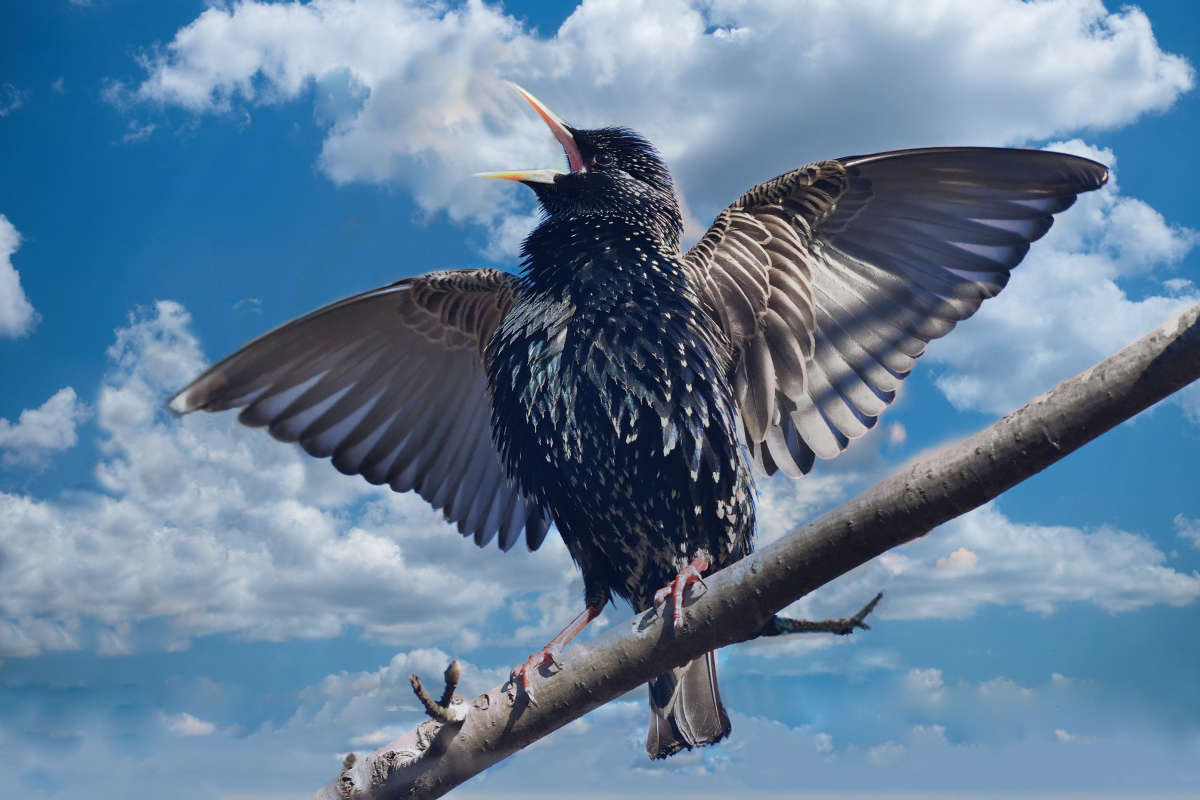 �������.. ����� �����  �� PhotoGeek.ru #�������� ��� #����� ��� ��� ���������