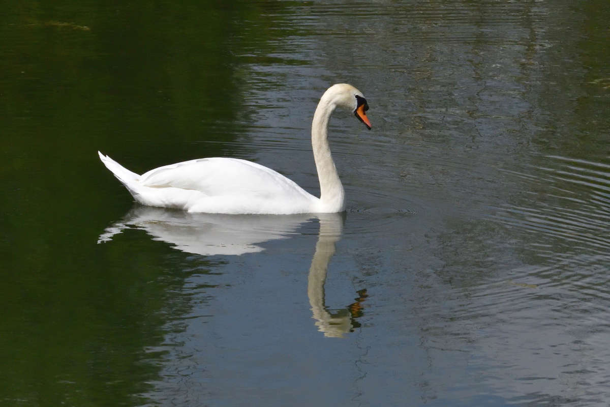 ... ����� �����  �� PhotoGeek.ru #�������� ���