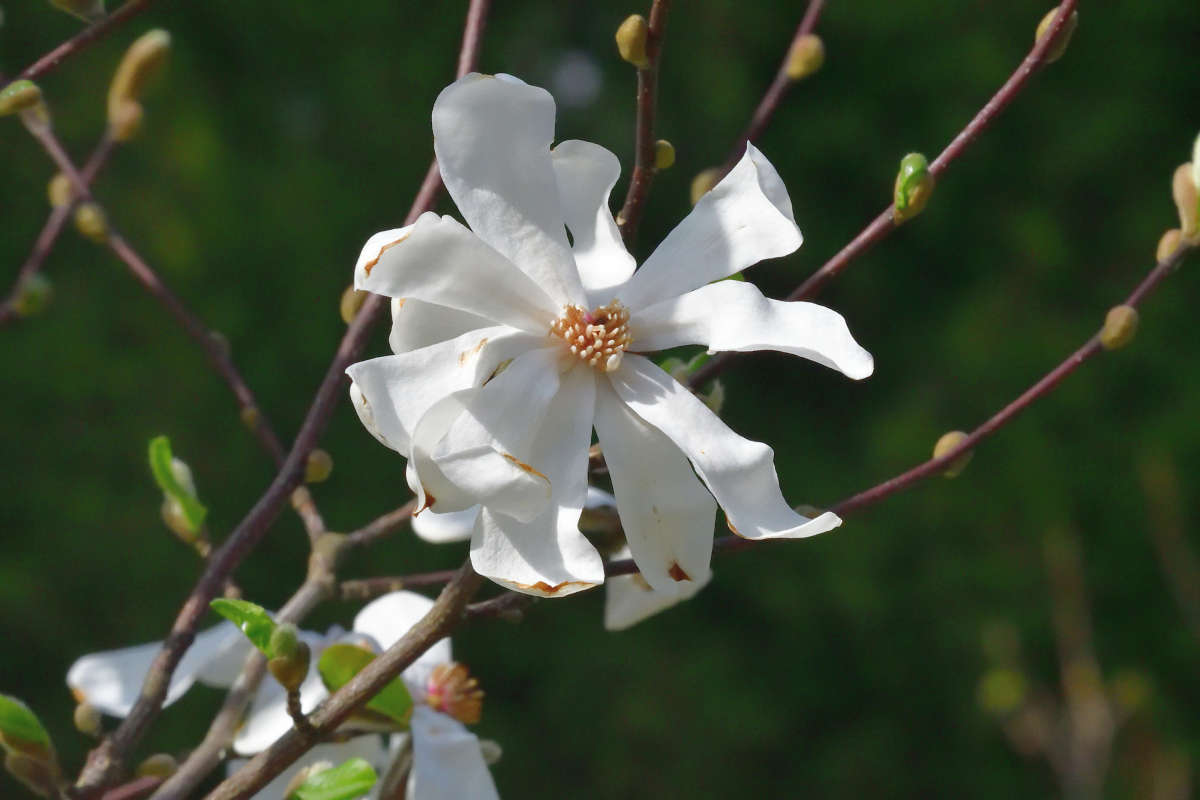 ... ����� �����  �� PhotoGeek.ru #������ ��� ������� #����� ��������������