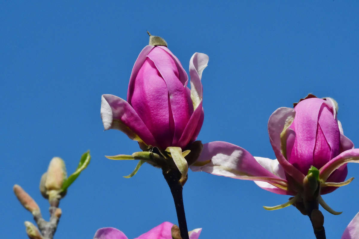 ... ����� �����  �� PhotoGeek.ru #������ ��� ������� #����� ��������������