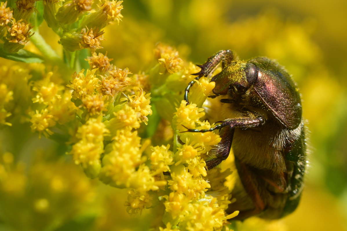 ... ����� �����  �� PhotoGeek.ru #����� #�������� ���