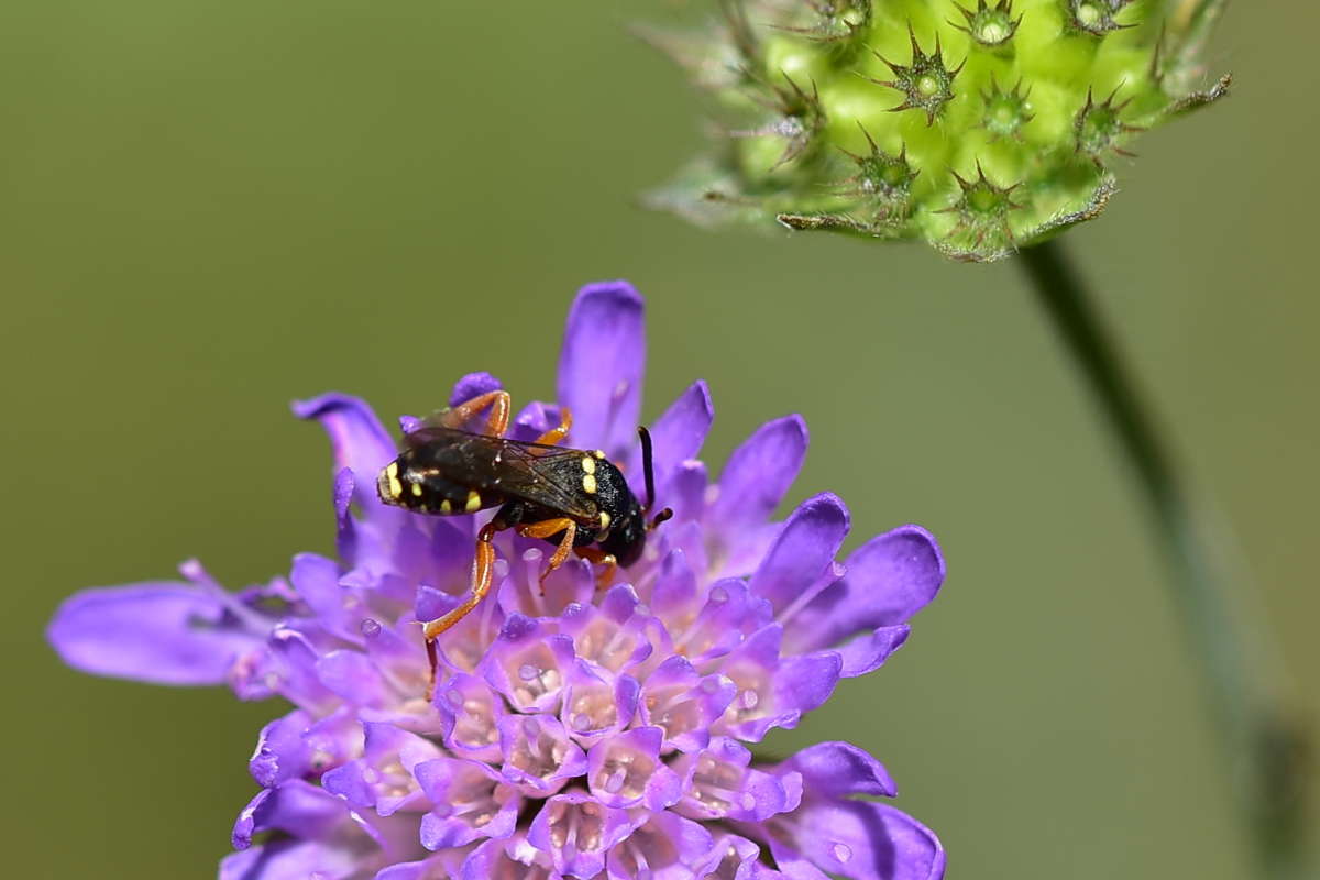 ... ����� �����  �� PhotoGeek.ru #����� #������ ��� �������