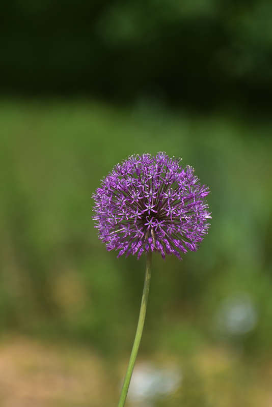 ... ����� �����  �� PhotoGeek.ru #������ ��� ������� #����� ��������������