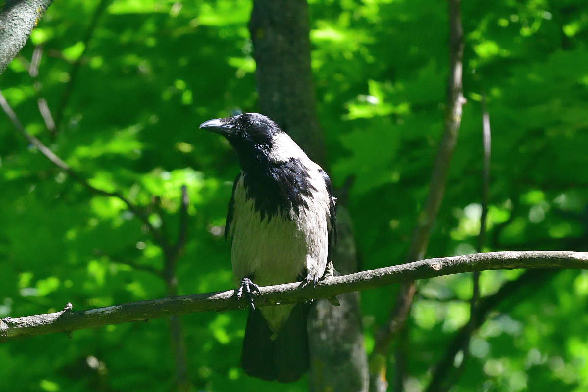 ... ����� �����  �� PhotoGeek.ru #�������� ���