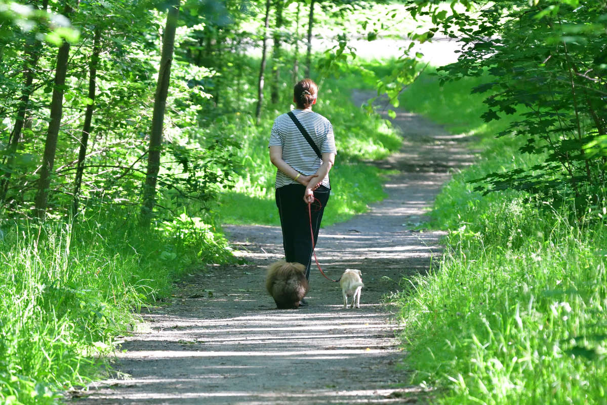 ... ����� �����  �� PhotoGeek.ru #�������� ����������