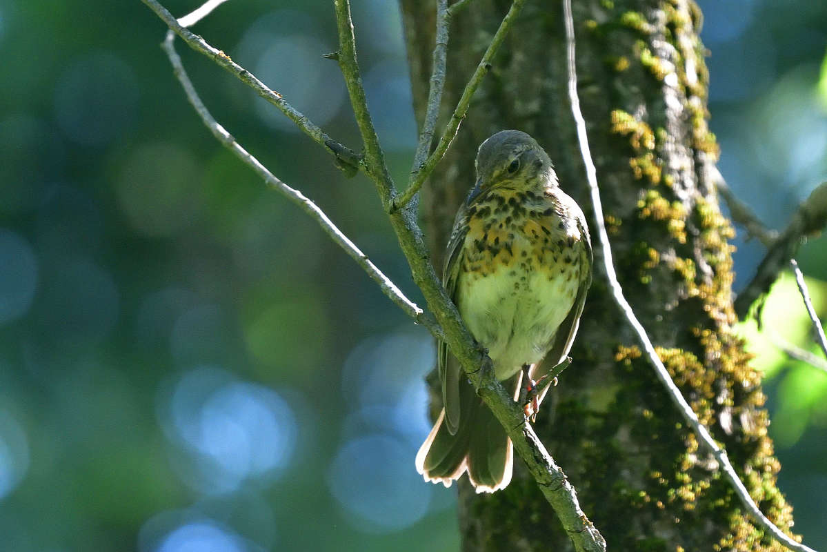 ... ����� �����  �� PhotoGeek.ru #�������� ���