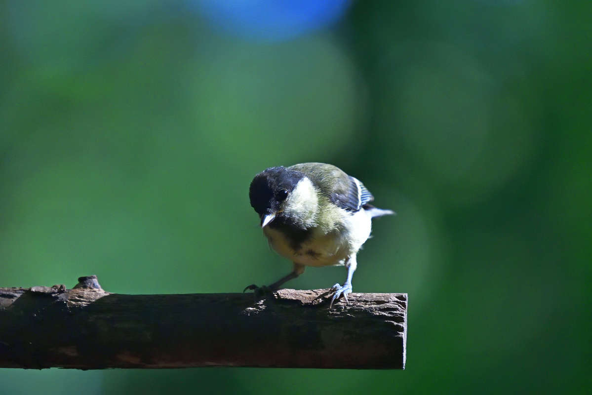 ... ����� �����  �� PhotoGeek.ru #�������� ���