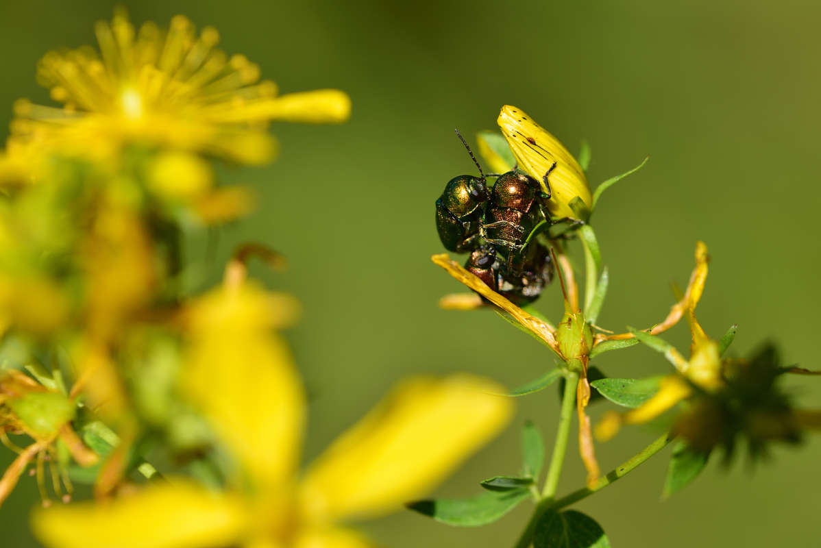 ... ����� �����  �� PhotoGeek.ru #�����