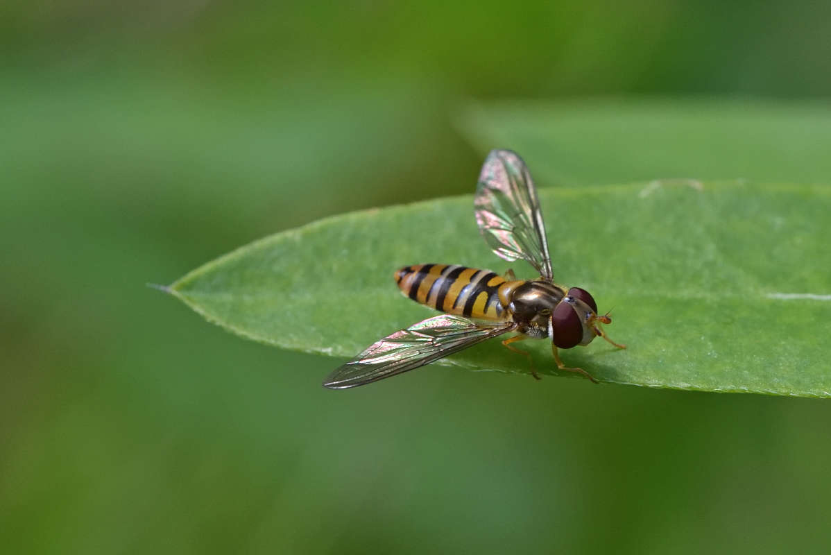 ... ����� �����  �� PhotoGeek.ru #�����