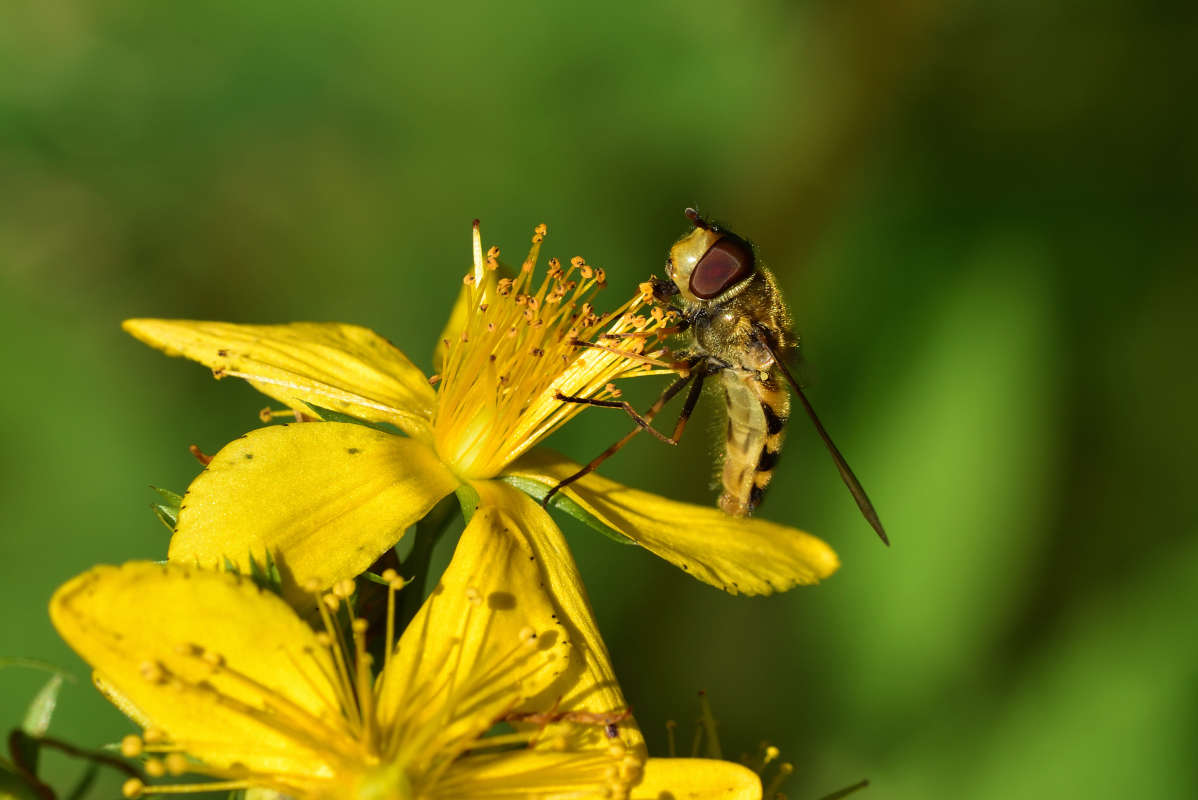 ... ����� �����  �� PhotoGeek.ru #�����