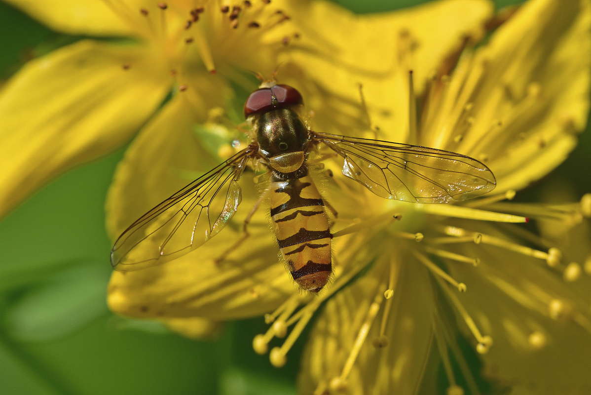 ... ����� �����  �� PhotoGeek.ru #�����