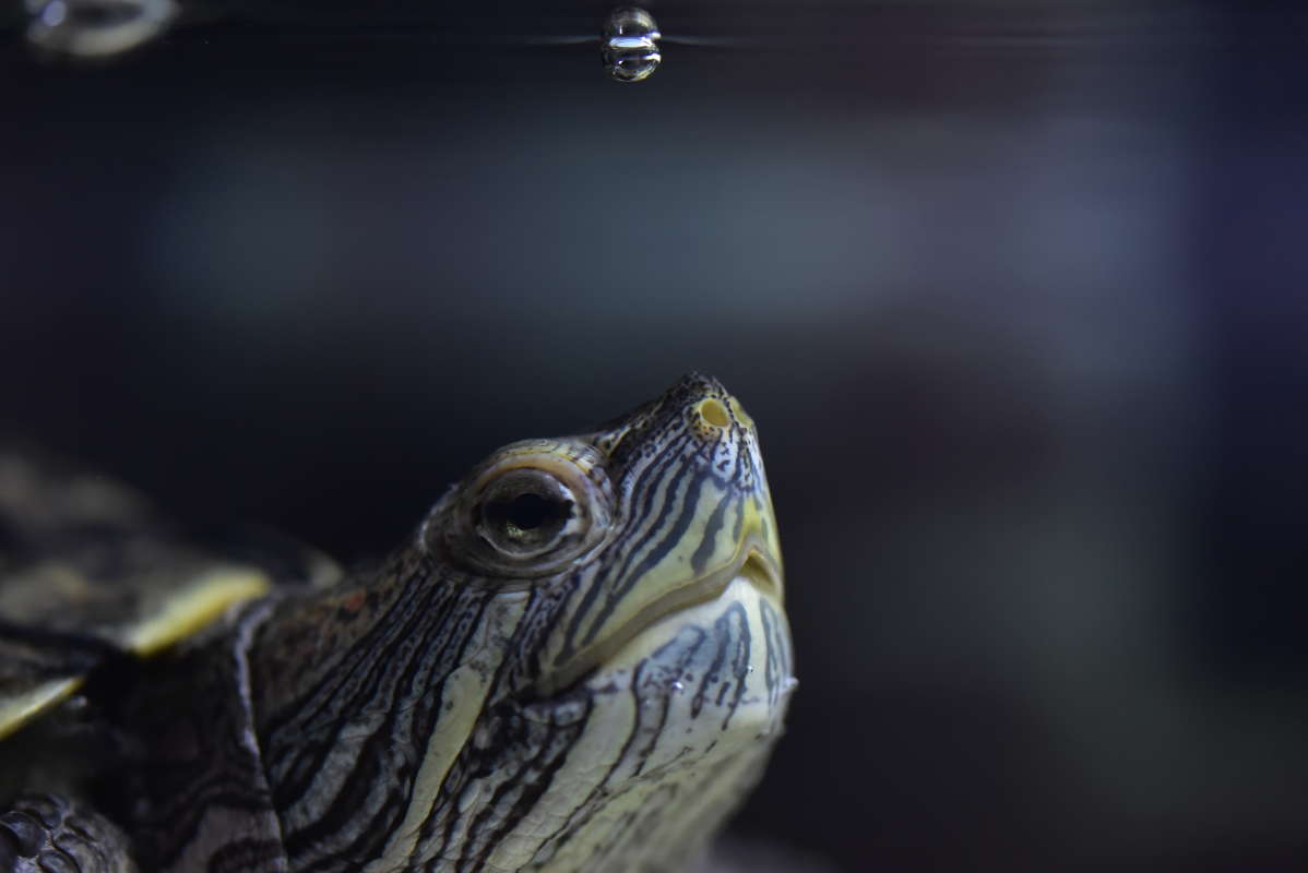 ...     PhotoGeek.ru # 