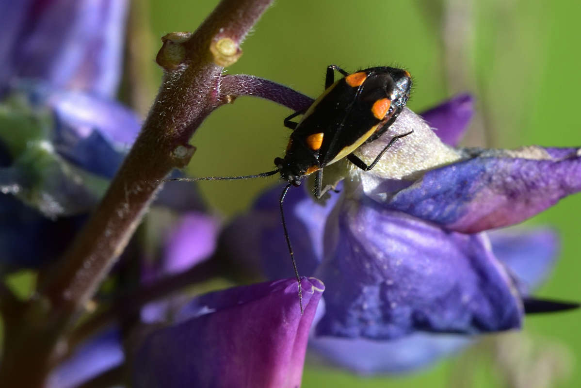 ... ����� �����  �� PhotoGeek.ru #�����