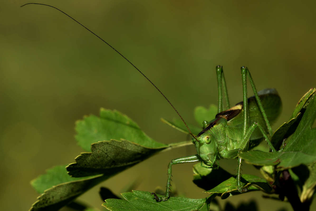 ... ����� �����  �� PhotoGeek.ru #�����
