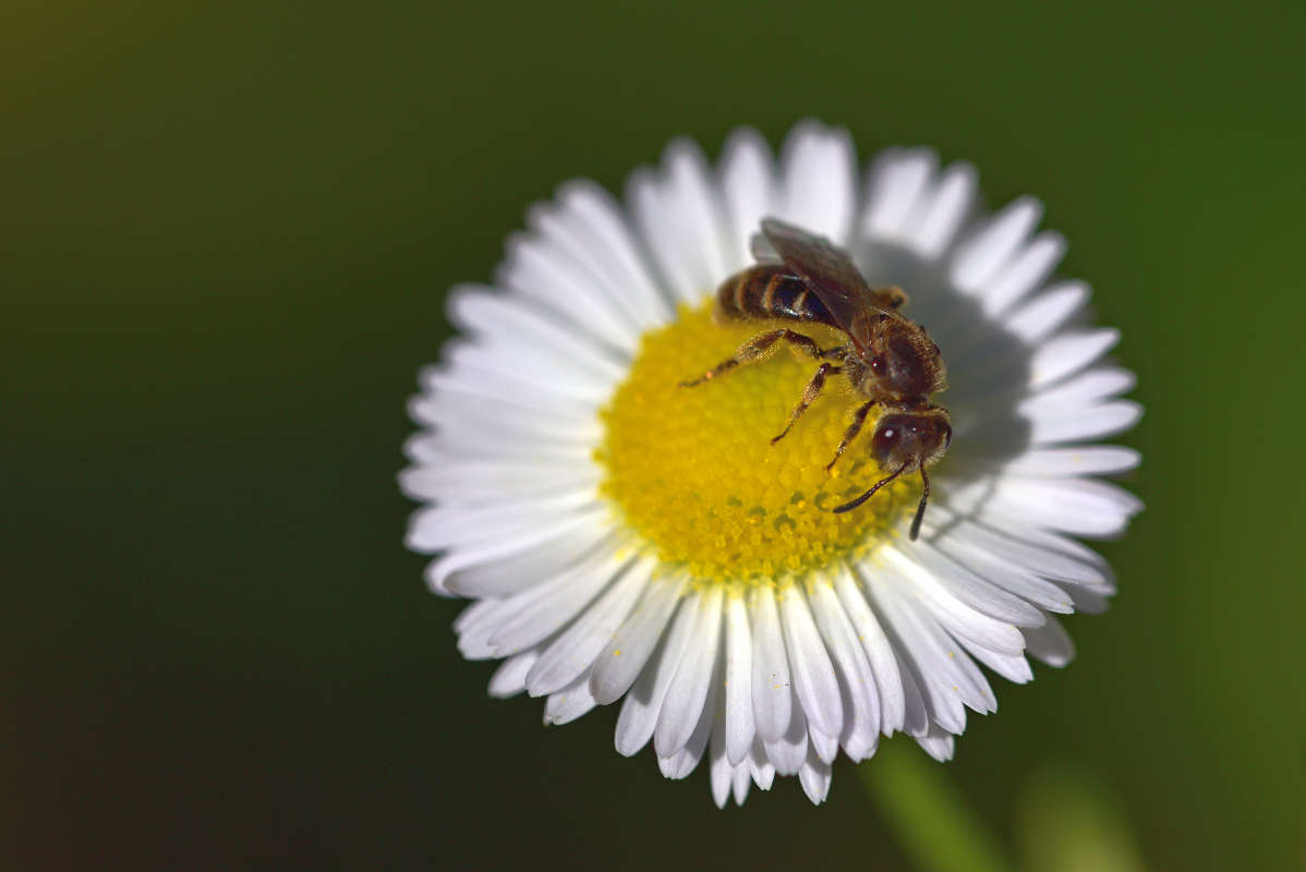 ... ����� �����  �� PhotoGeek.ru #�����