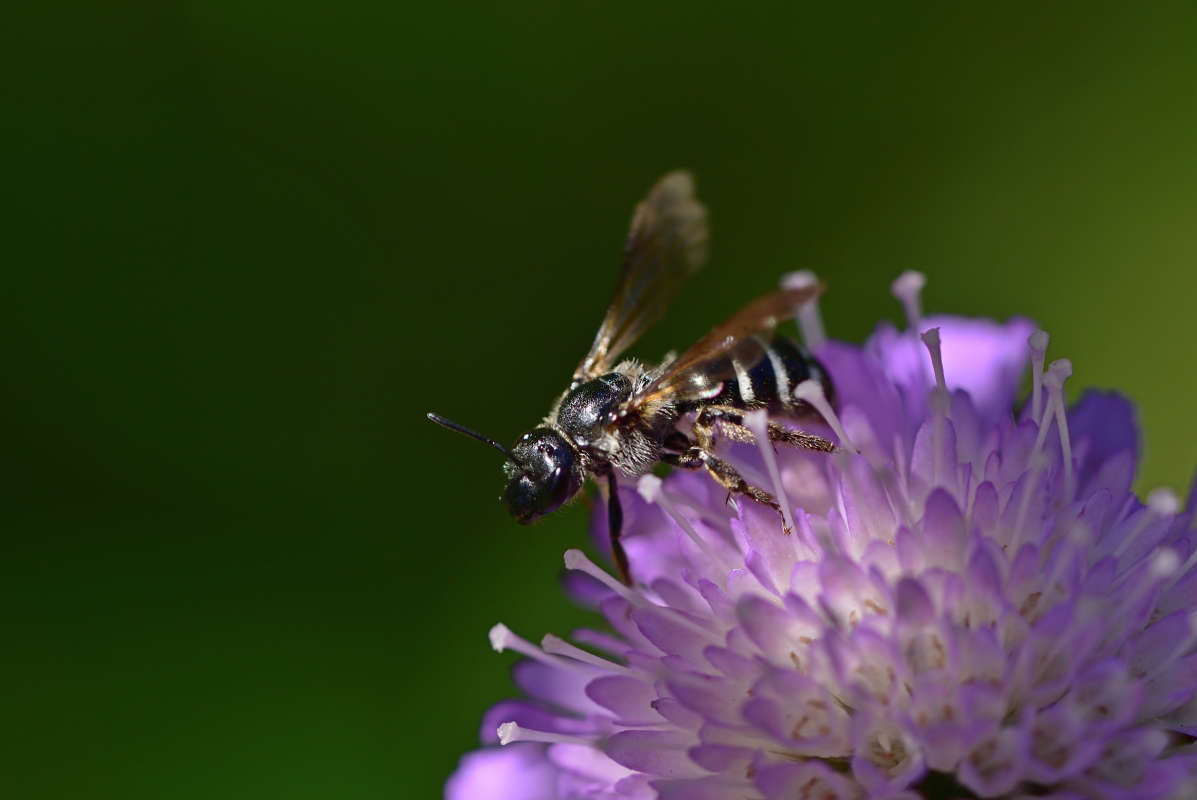 ... ����� �����  �� PhotoGeek.ru #�����