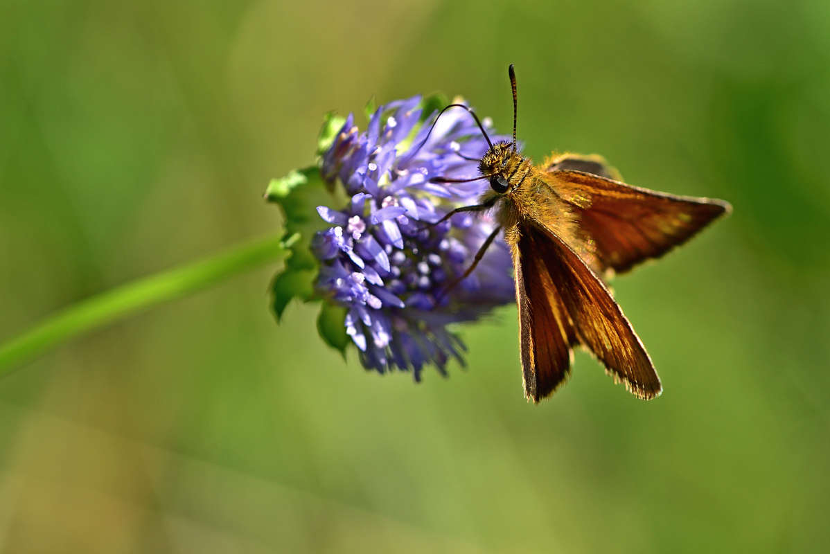 ... ����� �����  �� PhotoGeek.ru #�����