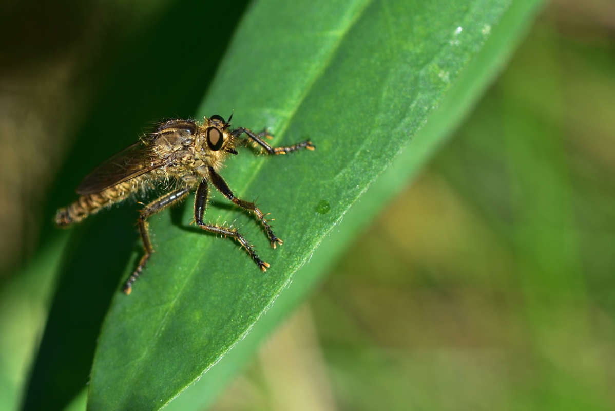 ... ����� �����  �� PhotoGeek.ru #�����