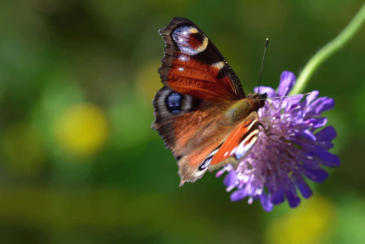 ... ����� �����  �� PhotoGeek.ru #�����
