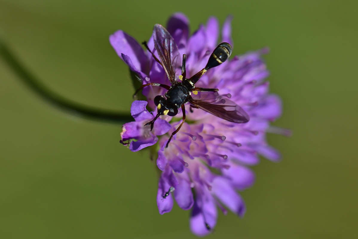 ... ����� �����  �� PhotoGeek.ru #�����