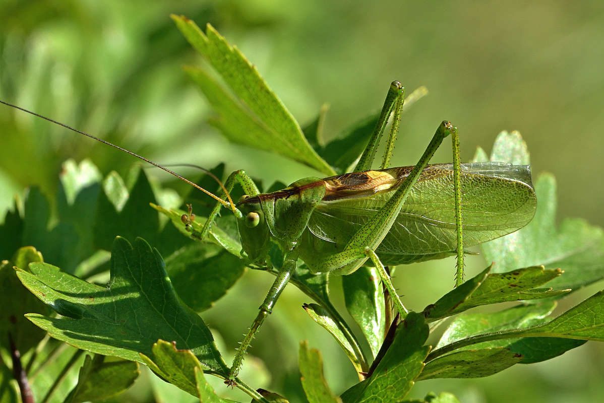 ... ����� �����  �� PhotoGeek.ru #�����
