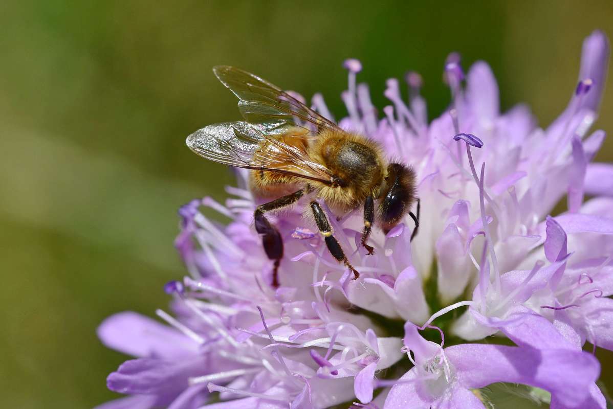 ... ����� �����  �� PhotoGeek.ru #�����