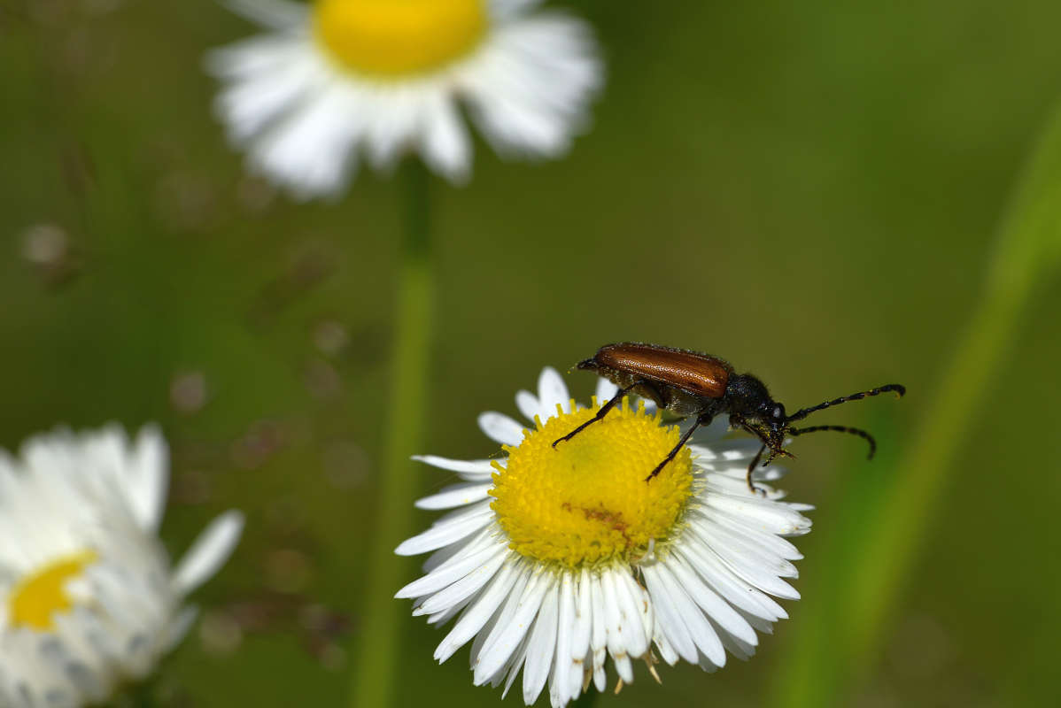 ... ����� �����  �� PhotoGeek.ru #�����