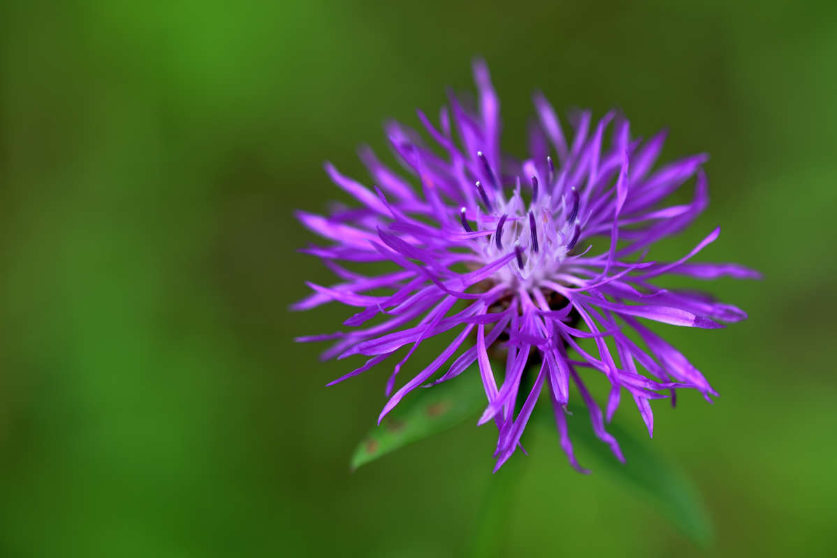 ... ����� �����  �� PhotoGeek.ru #�����