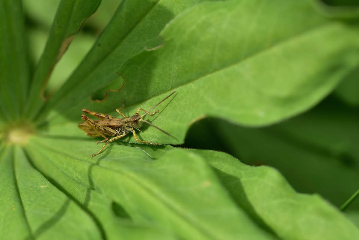 ... ����� �����  �� PhotoGeek.ru #�����