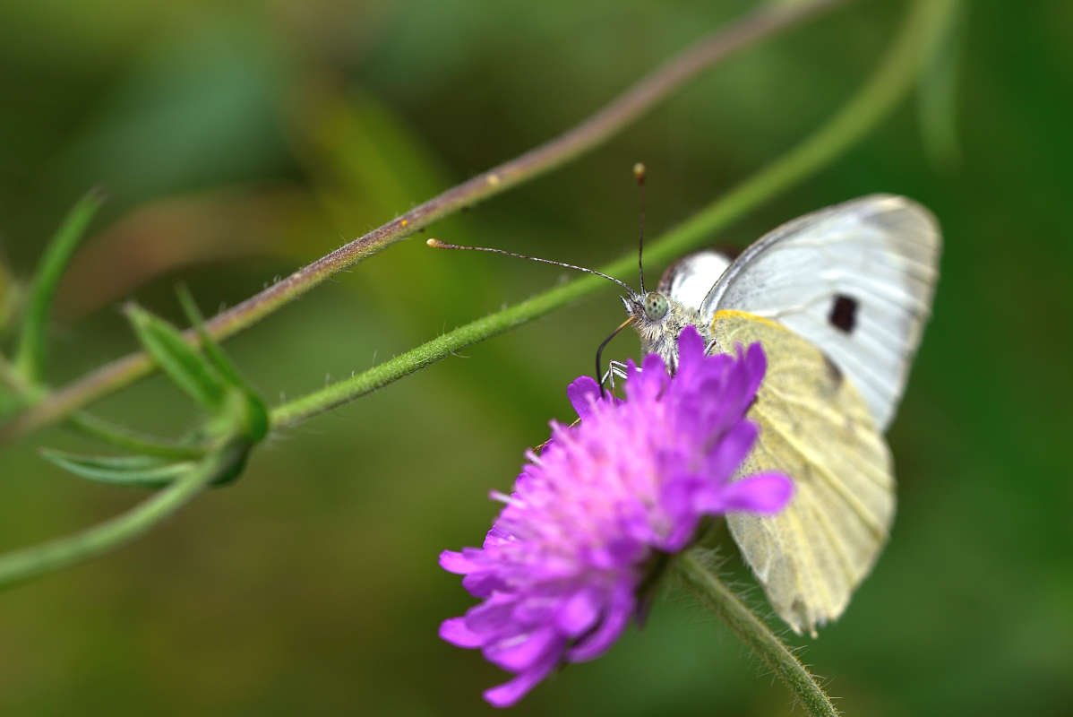... ����� �����  �� PhotoGeek.ru #�����