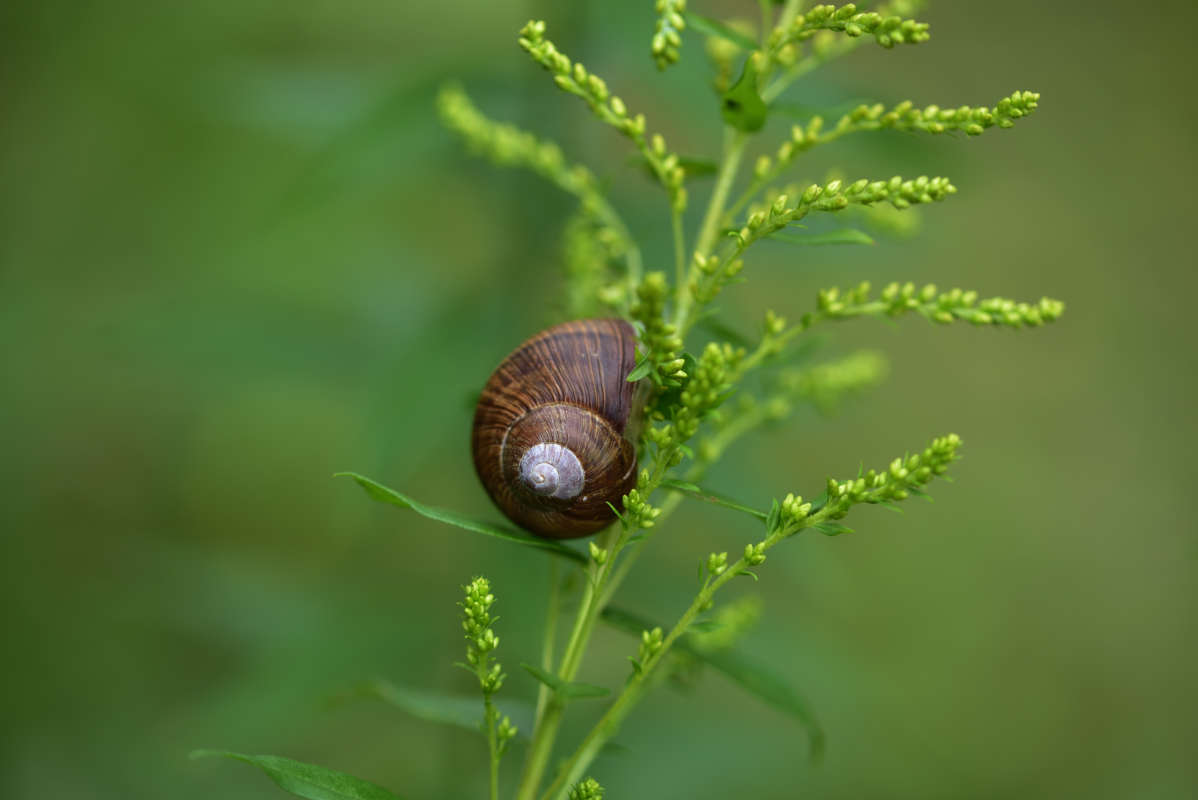 ... ����� �����  �� PhotoGeek.ru #�����