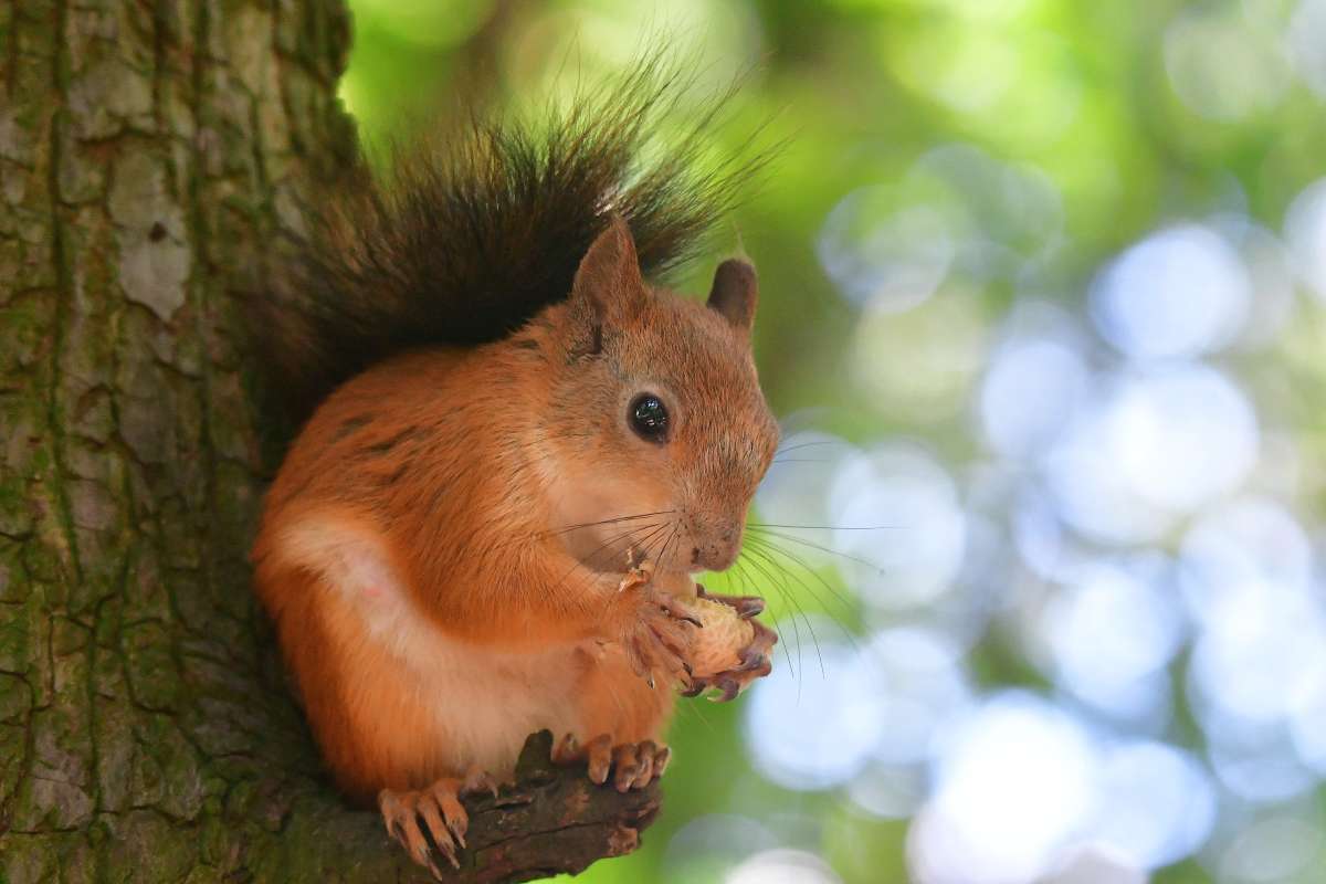 ... ����� �����  �� PhotoGeek.ru #�������� ���